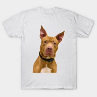 Adorable Brown Dog T-Shirt